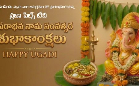 ప్రజల స్వరం – ప్రజాపల్స్ టీవీ